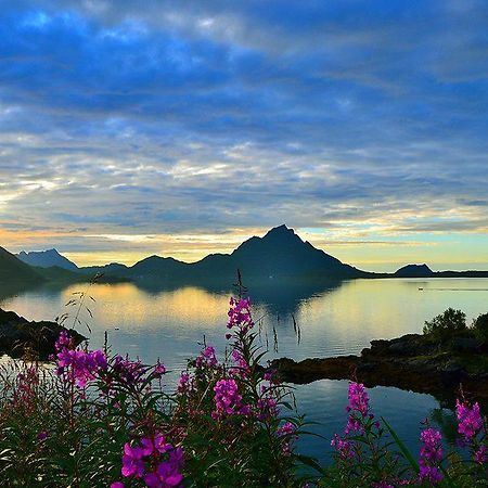 Skjellbogen Hyttegrend Sortland Ngoại thất bức ảnh