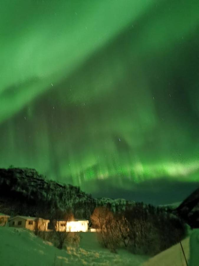 Skjellbogen Hyttegrend Sortland Ngoại thất bức ảnh