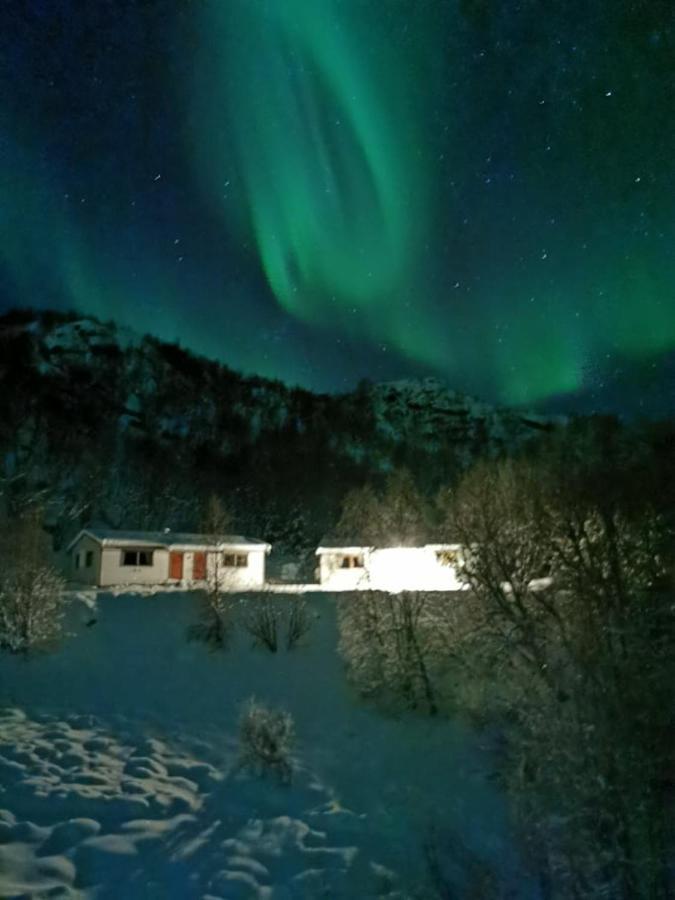 Skjellbogen Hyttegrend Sortland Ngoại thất bức ảnh
